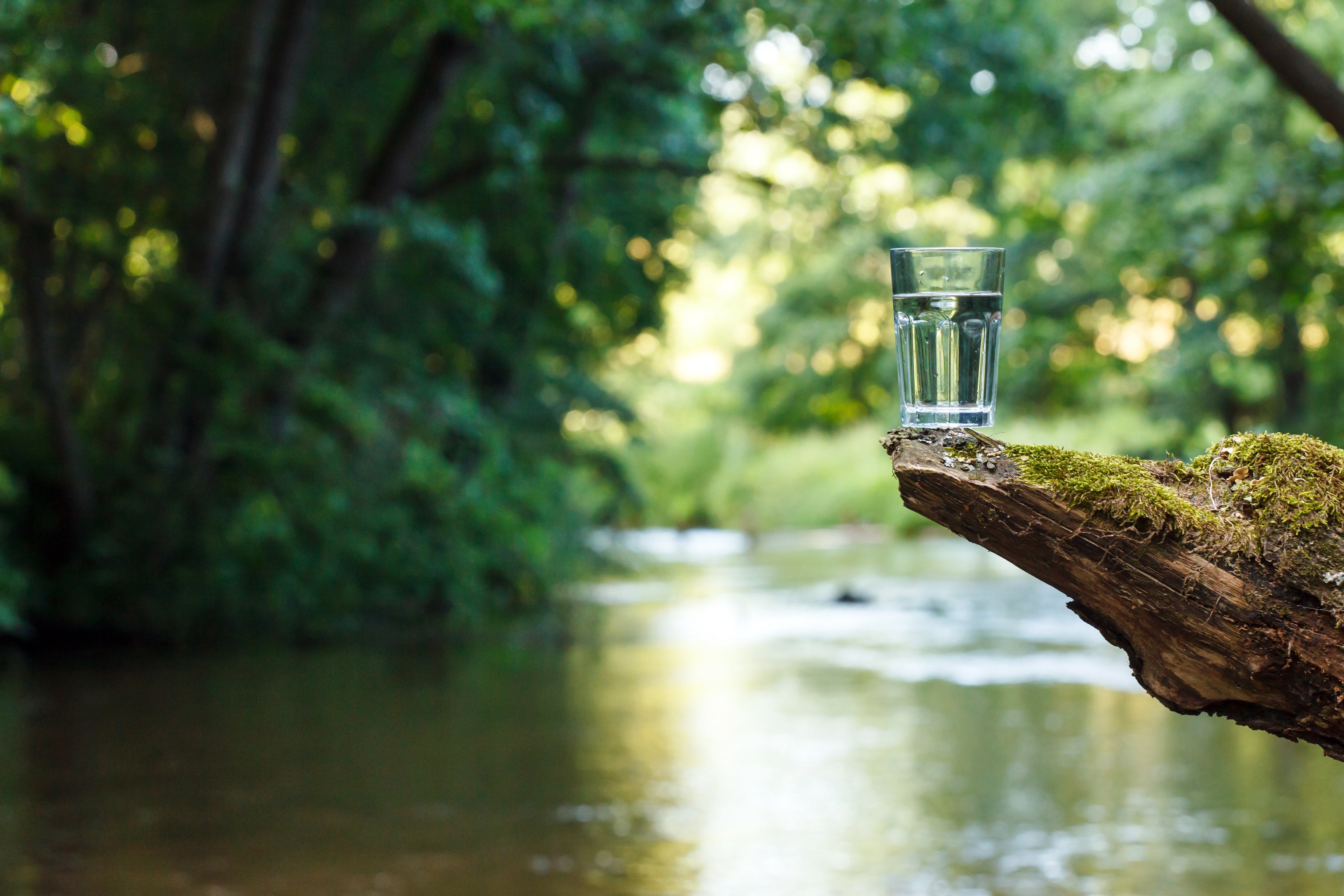 Fresh Spring Water Delivery + Reusable Glass To Collect Your Own